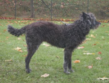  Email du Pré aux Vanneaux